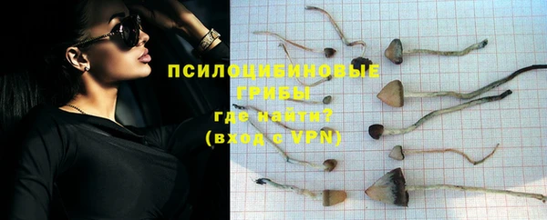 прущие грибы Алексин