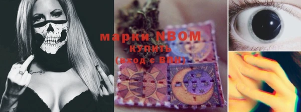 прущие грибы Алексин