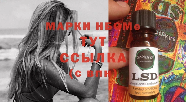 прущие грибы Алексин