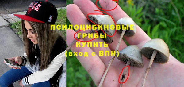 ГАЛЛЮЦИНОГЕННЫЕ ГРИБЫ Алзамай