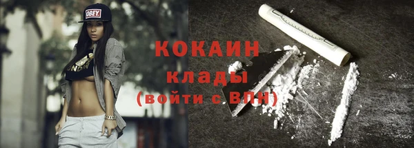 прущие грибы Алексин