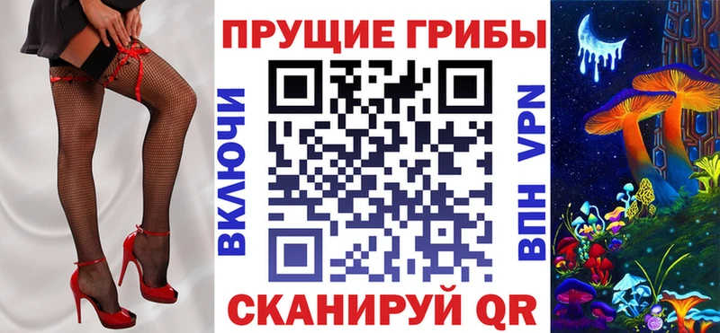 где найти   Далматово  Псилоцибиновые грибы Magic Shrooms 
