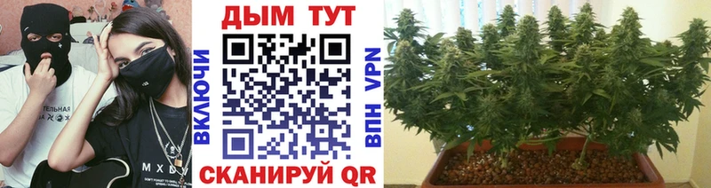 где продают Далматово МАРИХУАНА AK-47